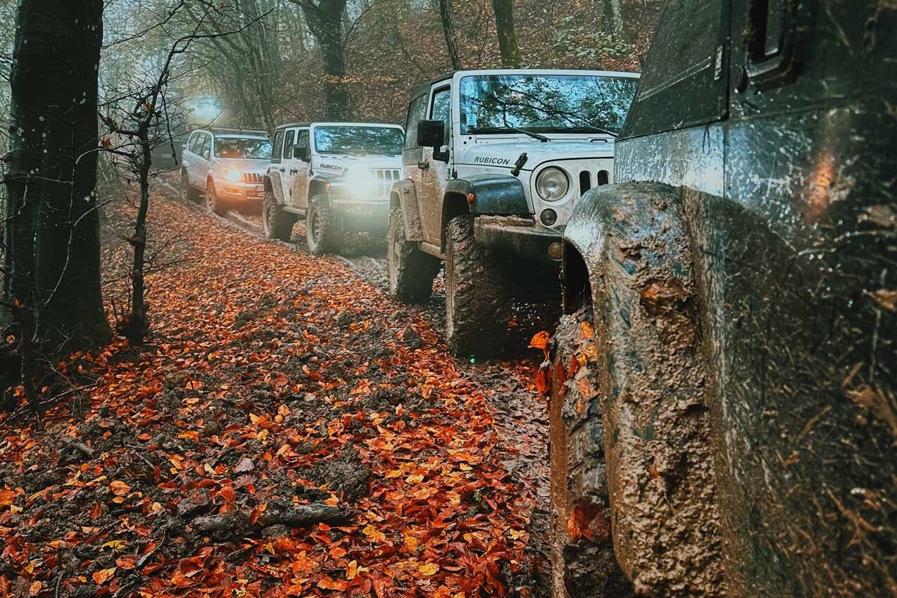 fuoristrada nel bosco