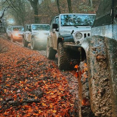 fuoristrada nel bosco